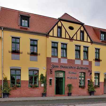 Gasthaus Und Pension "Zum Hauenden Schwein" Wörlitz Extérieur photo